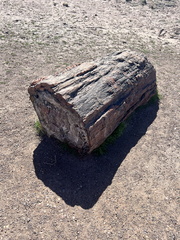 IMG 7277